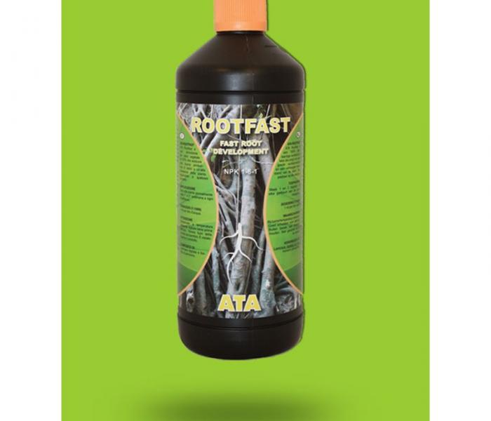 atami-root-fast-1-lit.jpg