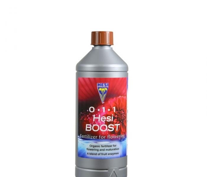 hesi-boost-1-lit.jpg