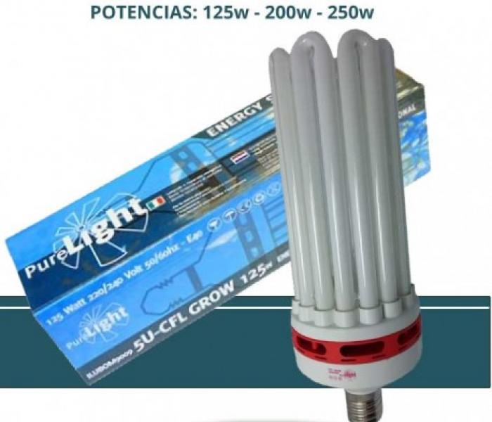 pure-light-grow-crecimiento.jpg