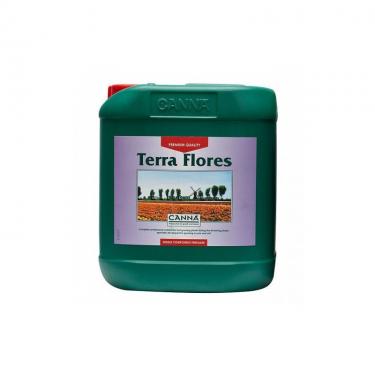 canna-terra-flores-5-lit.jpg