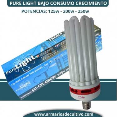 pure-light-grow-crecimiento.jpg