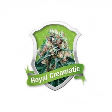 royal-creamatic-3-fem-auto.jpg